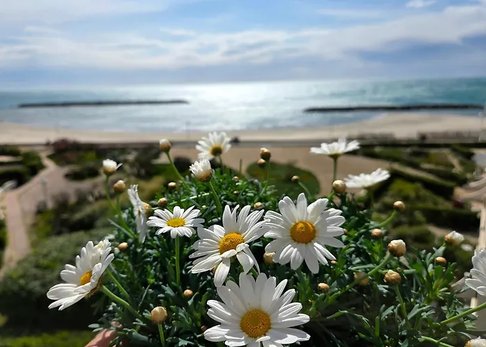 Apartament Plein Sud Le Ciel Le Soleil Et La Palavas-les-Flots